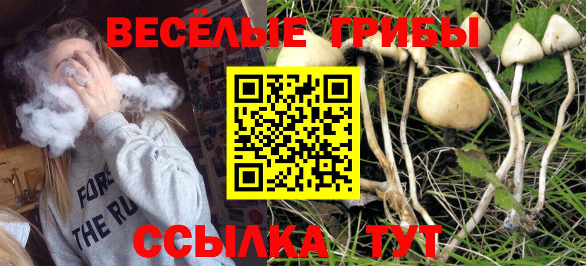 Ивантеевка  Псилоцибиновые грибы Magic Shrooms  Вход с VPN  Галлюциногенные грибы Psilocybine cubensis 